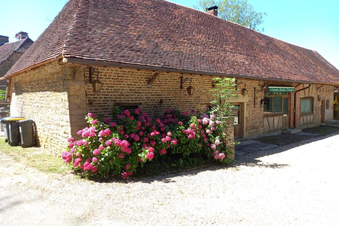 Photo of Others in Saillenard