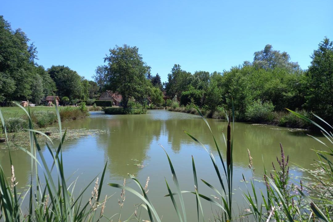 Photo of Others in Saillenard