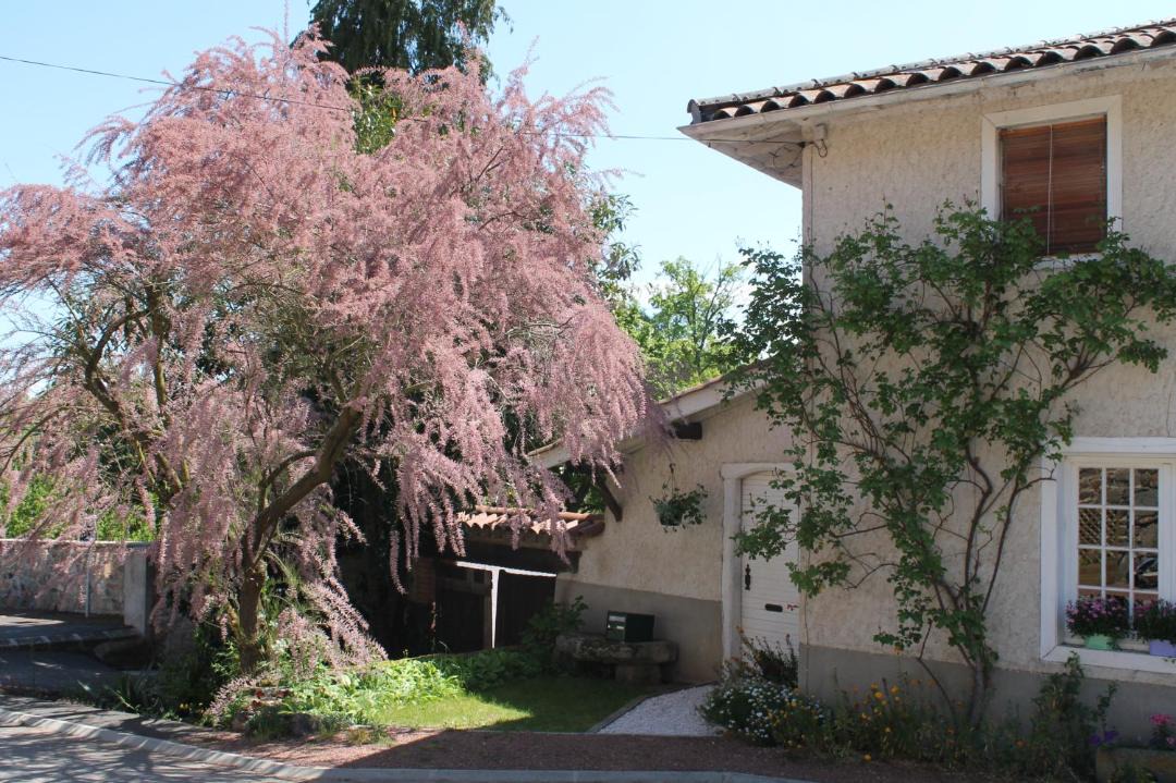 Photo of Others in Lure