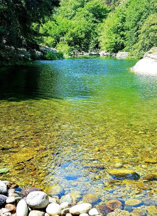 Photo of Others in Castirla