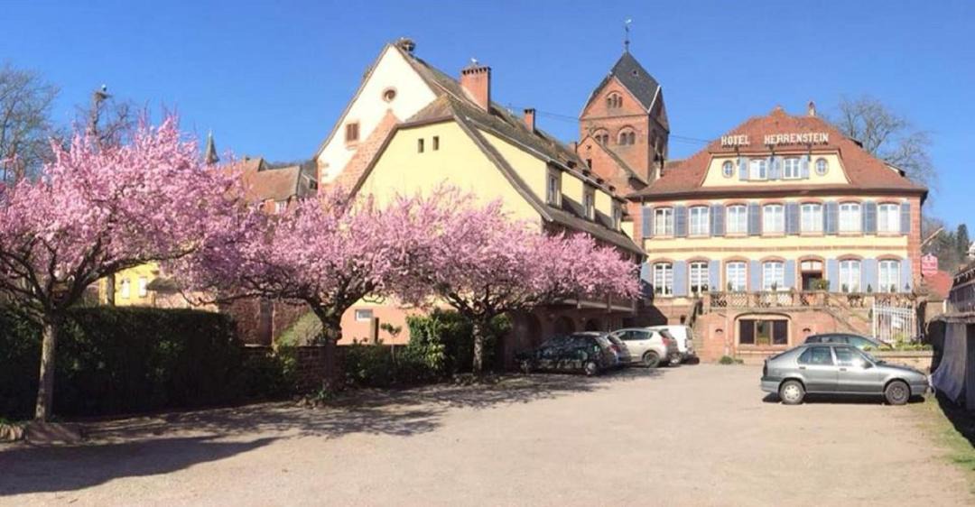 Photo of Others in Neuwiller-les-Saverne