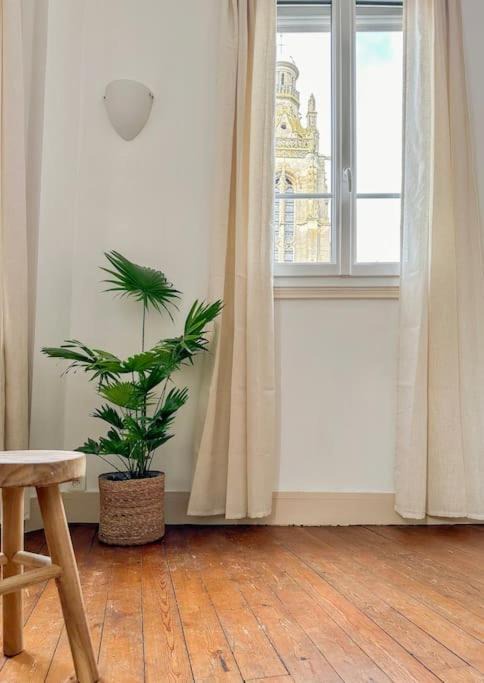 Photo of Others in Centre Ville