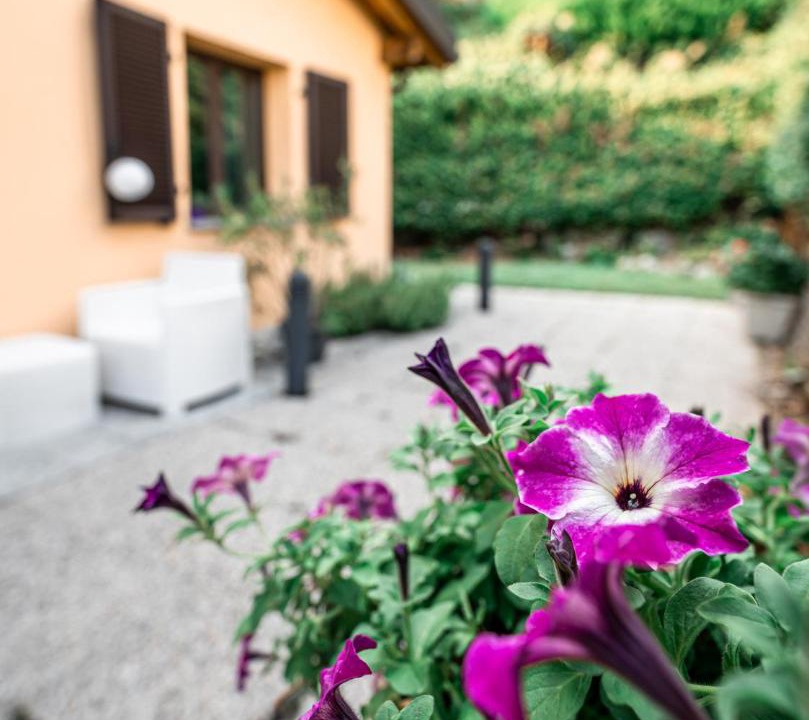Photo of Others in Vacallo
