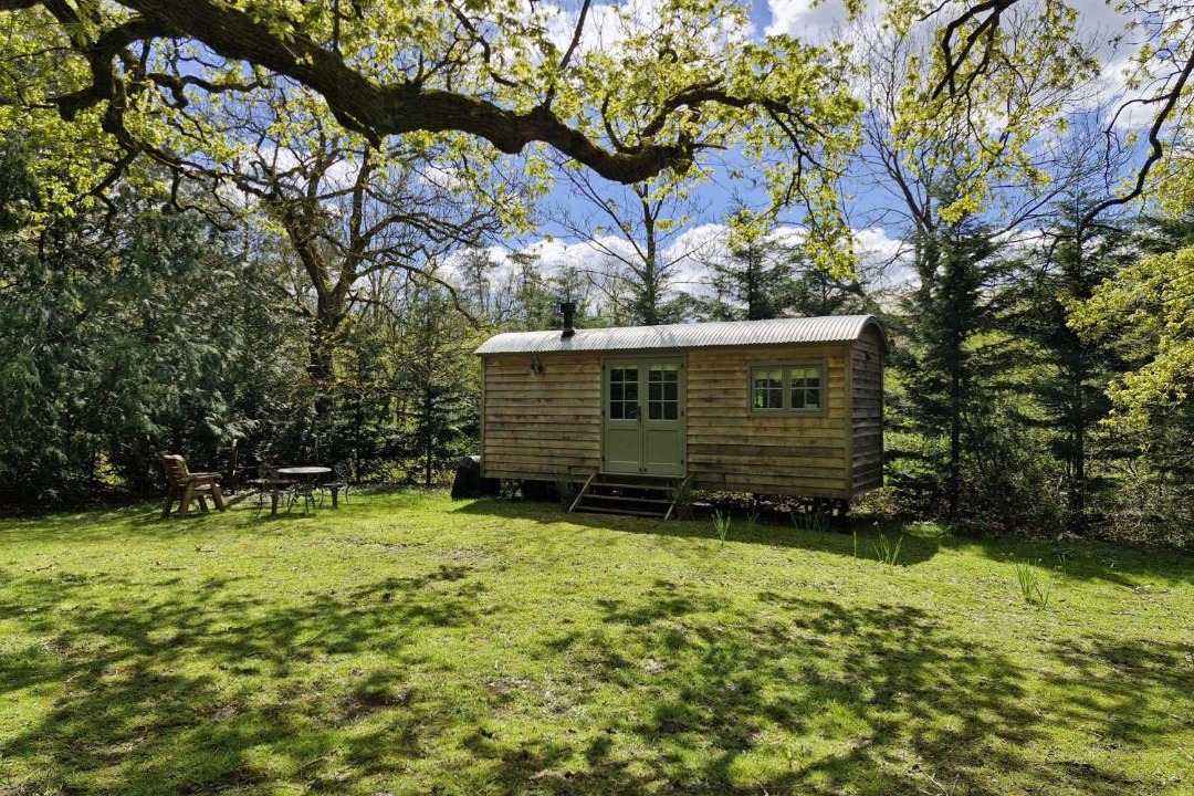 Photo of Others in Steyning