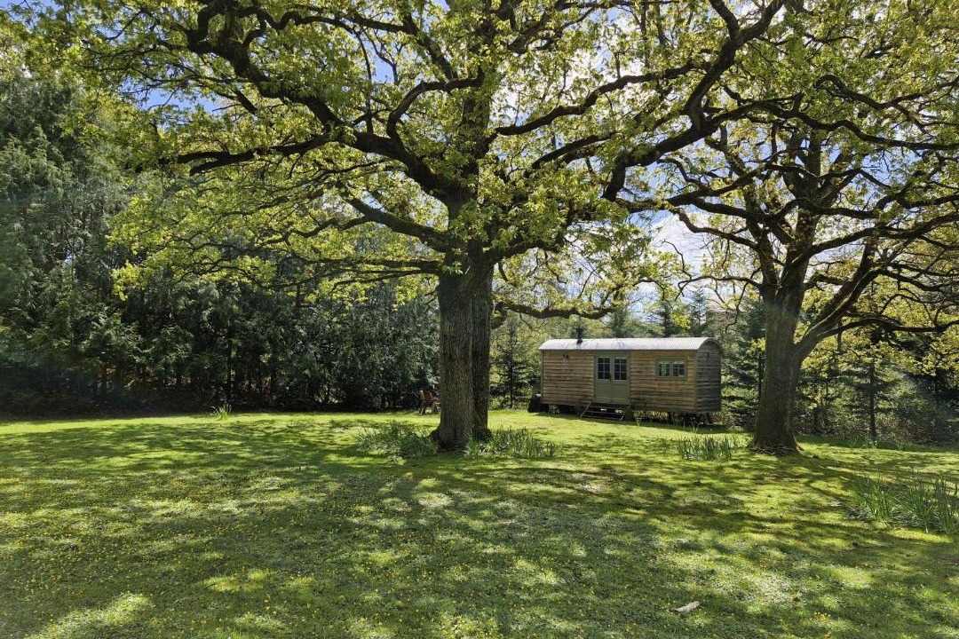 Photo of Others in Steyning