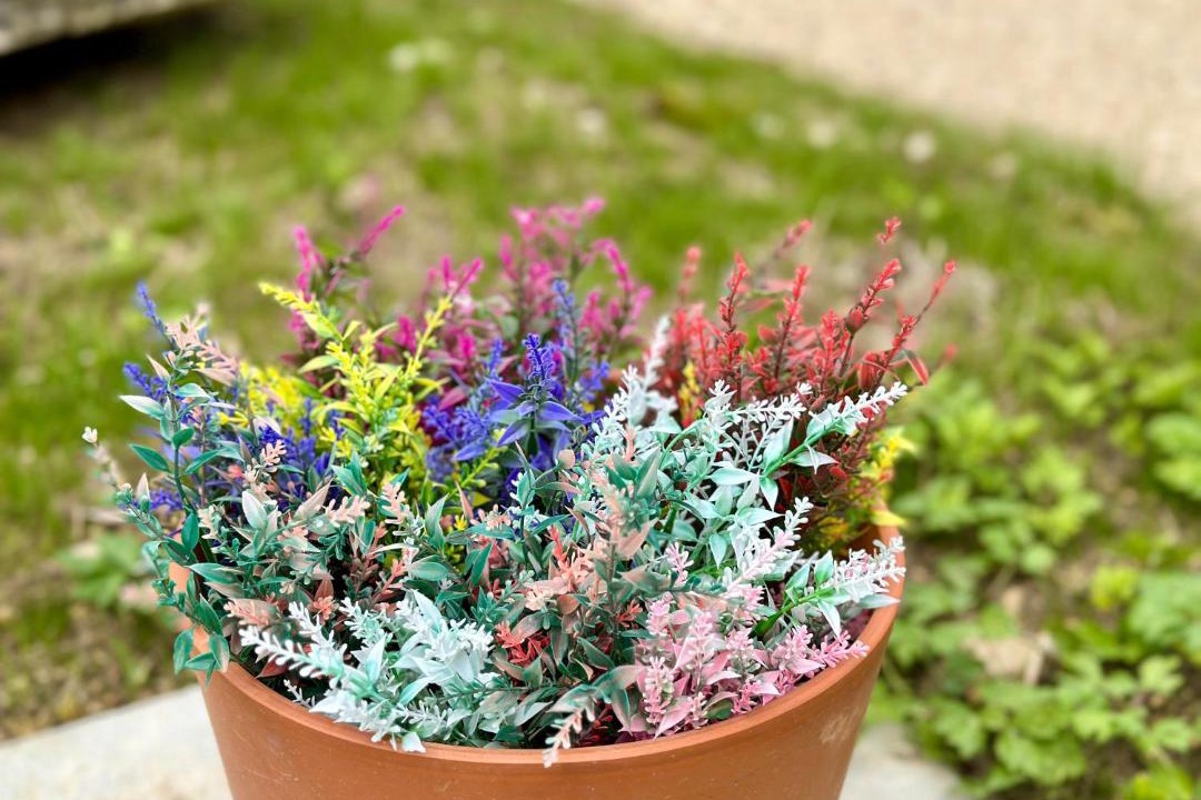 Photo of Outdoor in Marcenay