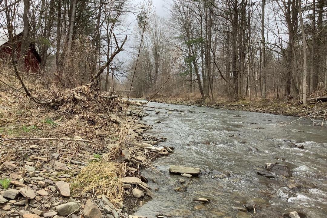 Photo of Others in Rome