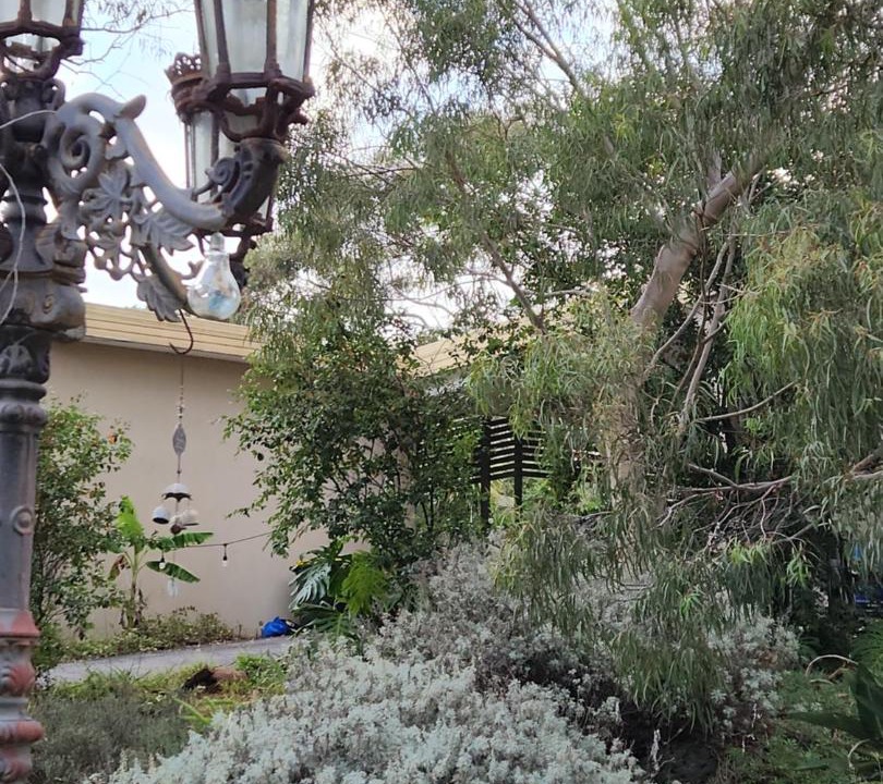 Photo of Others in Greenvale