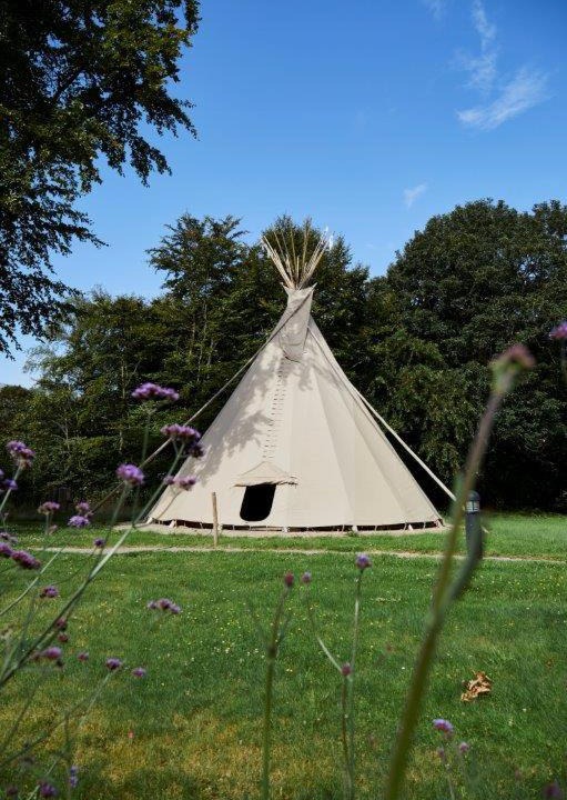 Photo of Others in Esbjerg