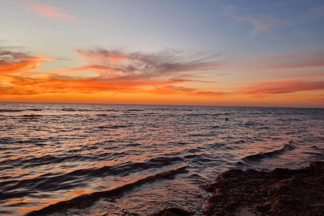 Photo of Others in Semaphore Park