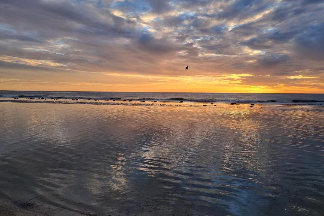 Photo of Others in Semaphore Park