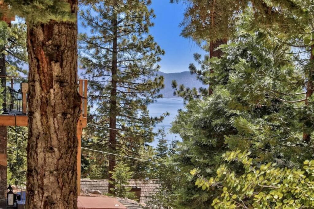 Photo of Others in Cedar Flat