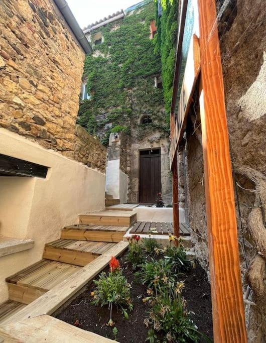 Photo of Others in Roujan