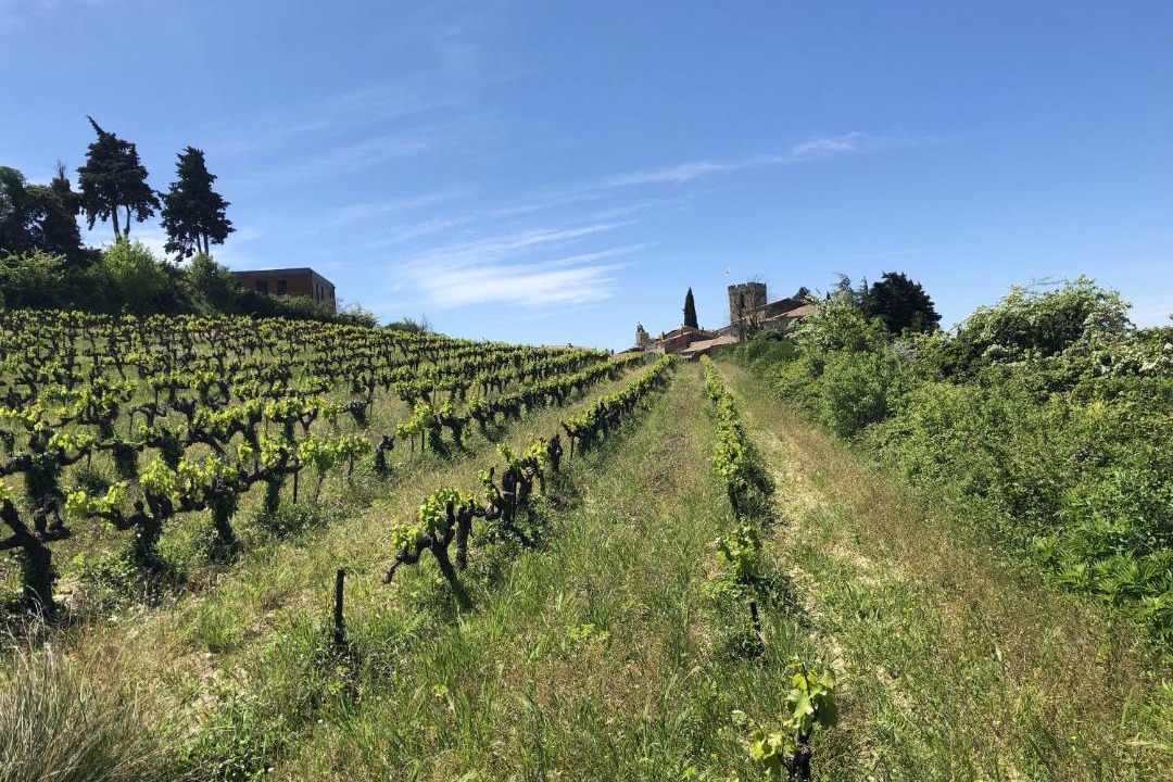 Photo of Others in Villedieu