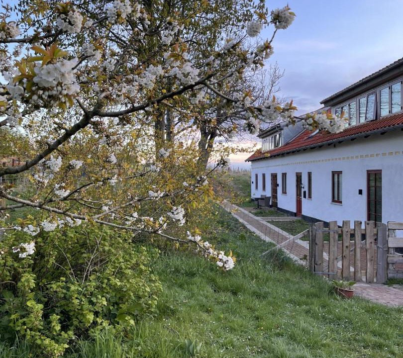 Photo of Others in Skuldelev