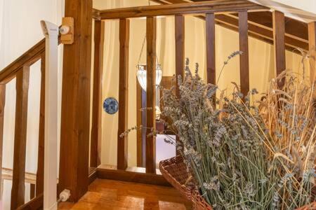 Photo of Others in Guils de Cerdanya