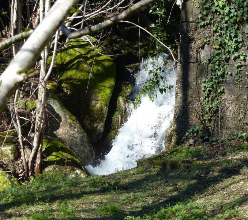 Photo of Others in Saint-Andre-de-Majencoules