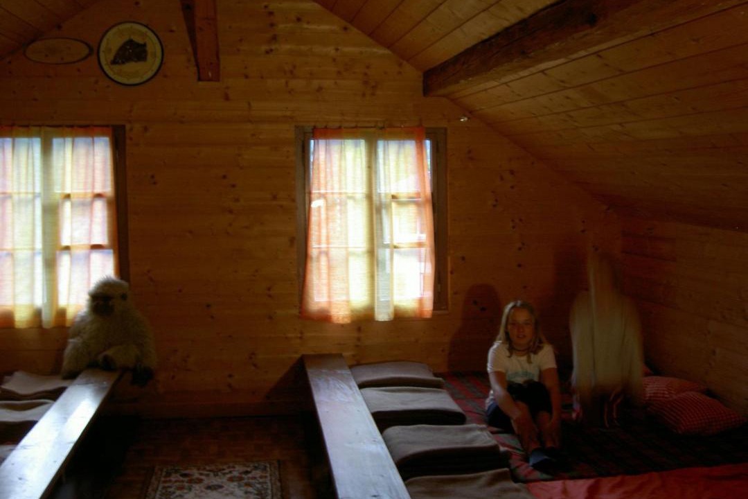Photo of Others in Linthal