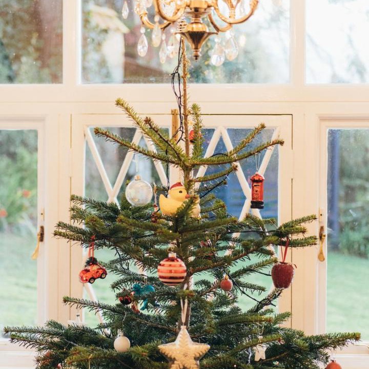 Photo of Others in Sidmouth