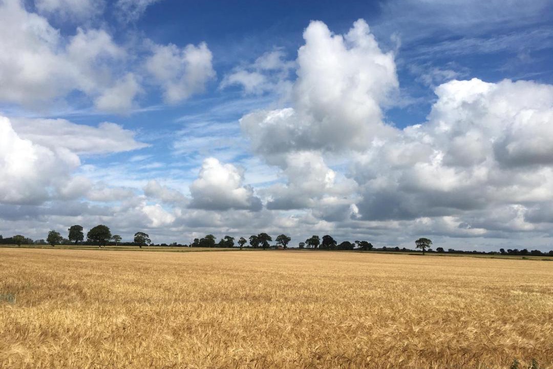 Photo of Others in Banningham