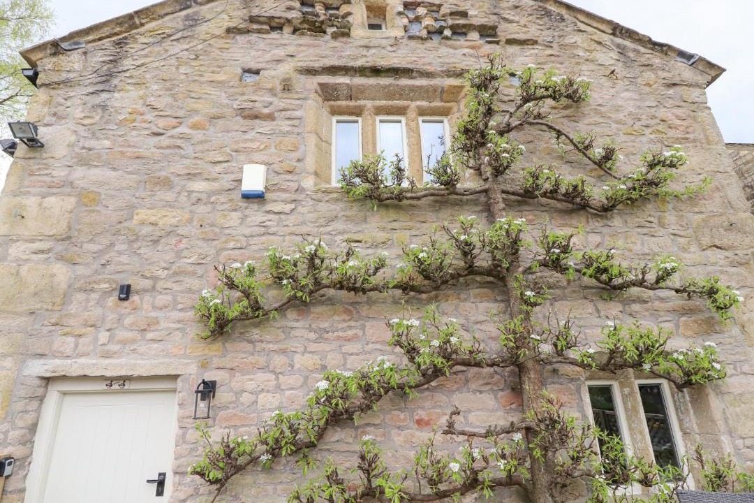 Photo of Others in Barnoldswick