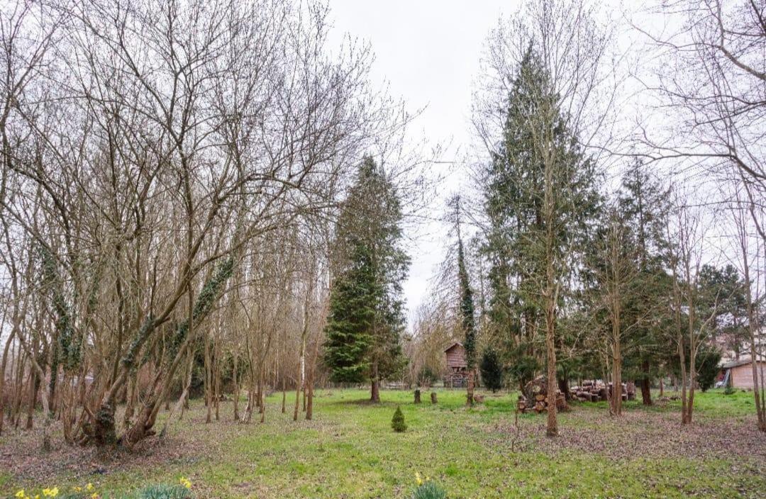 Photo of Others in Milly-la-Foret