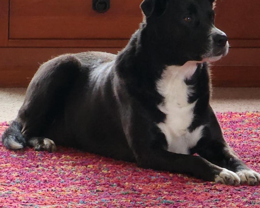 Photo of Others in Bluff Hill