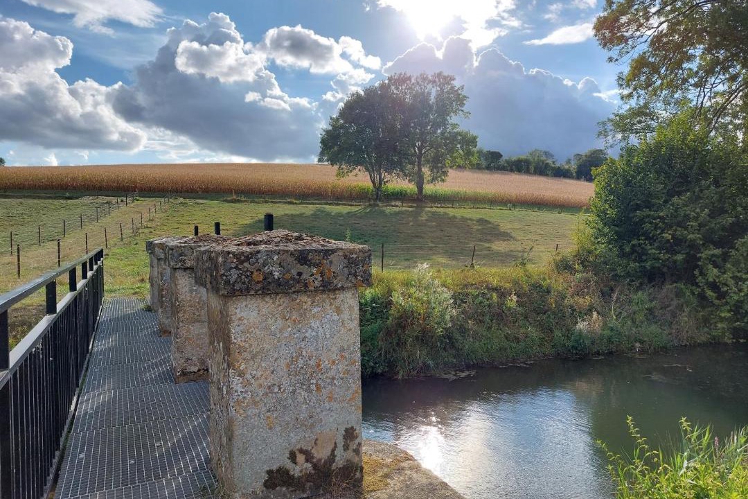 Photo of Others in Le Chesne