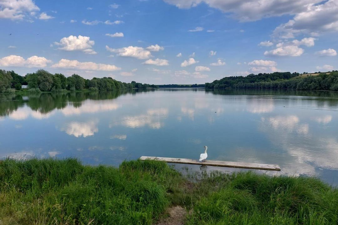 Photo of Others in Le Chesne