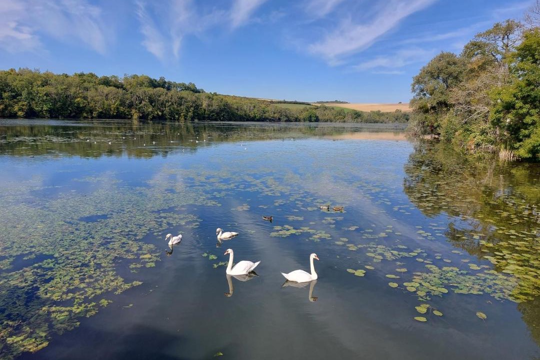 Photo of Others in Le Chesne