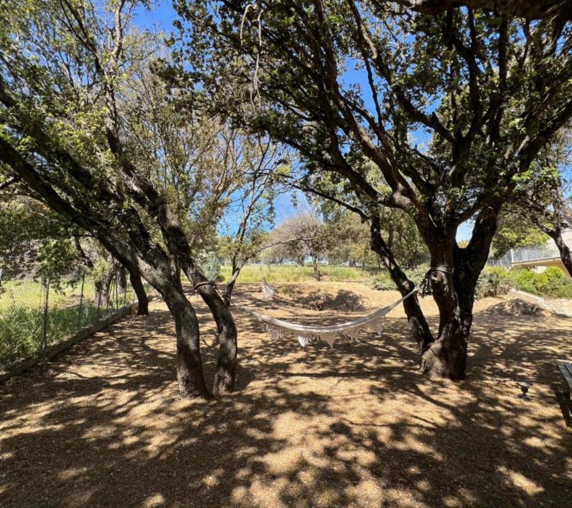 Photo of Others in Serra-di-Ferro