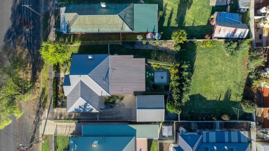 Photo of Others in Orange