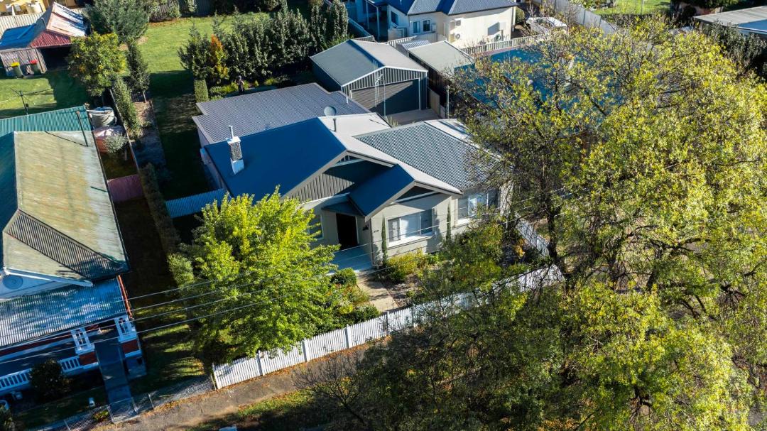 Photo of Others in Orange