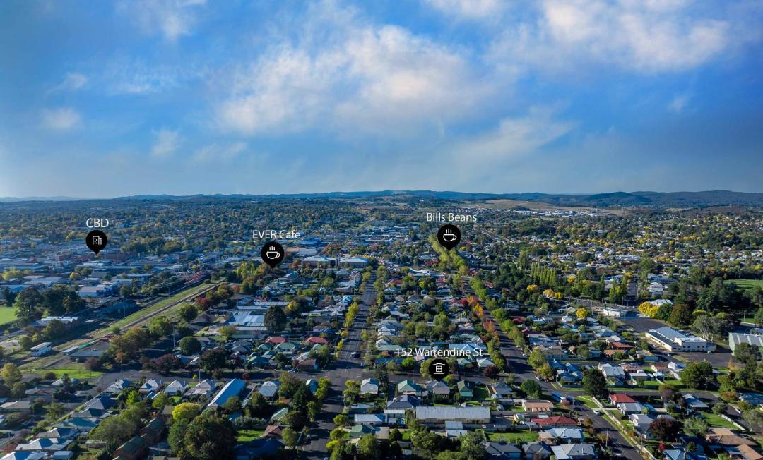 Photo of Others in Orange