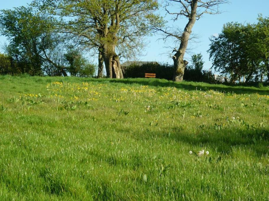 Photo of Others in Usk