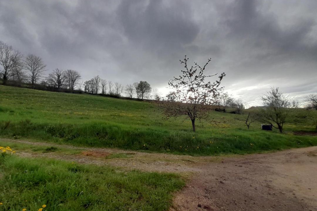 Photo of Others in Monistrol-dʼAllier