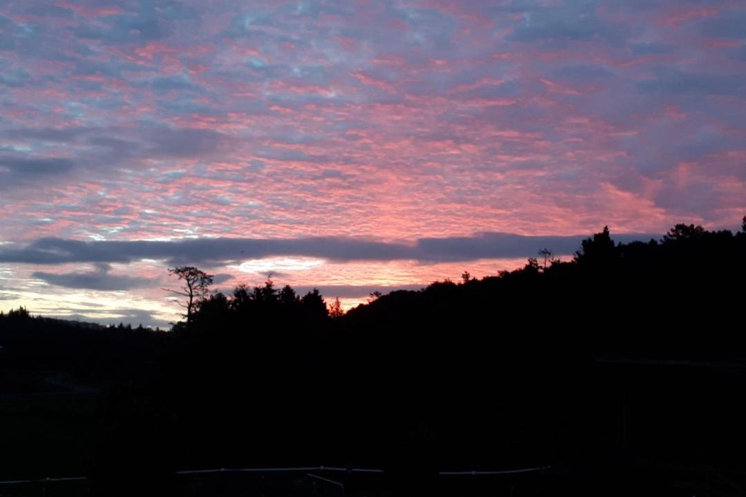 Photo of Others in Northland