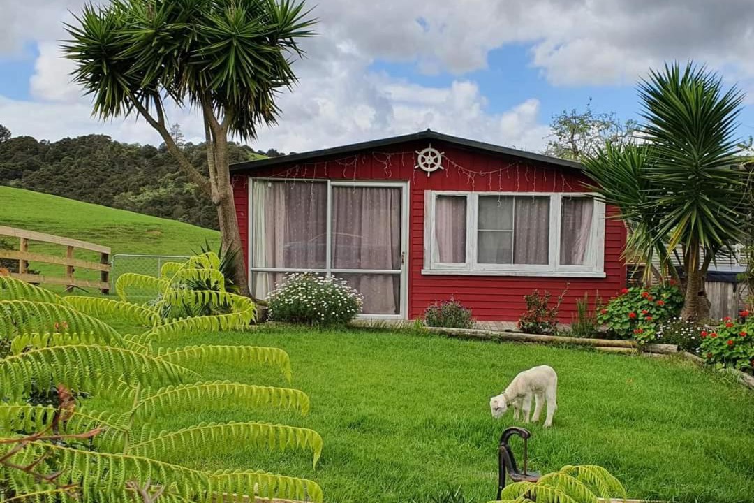 Photo of Others in Northland