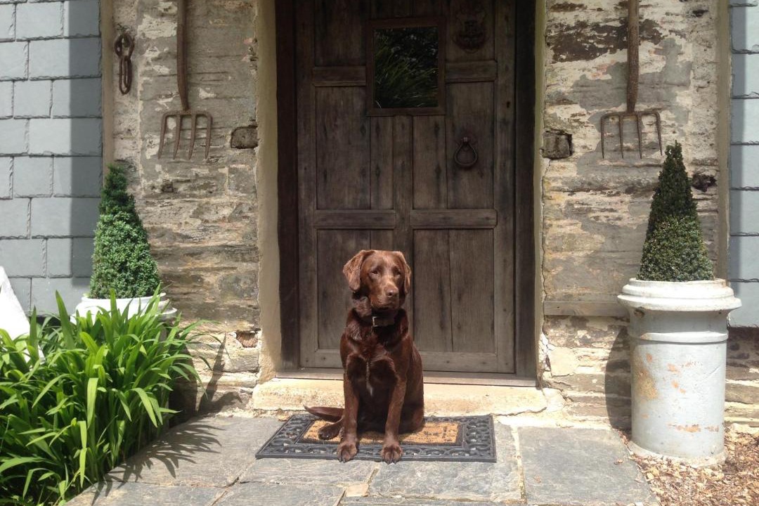 Photo of Others in Totnes