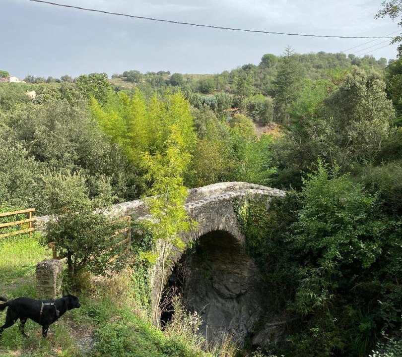 Photo of Others in Reynes