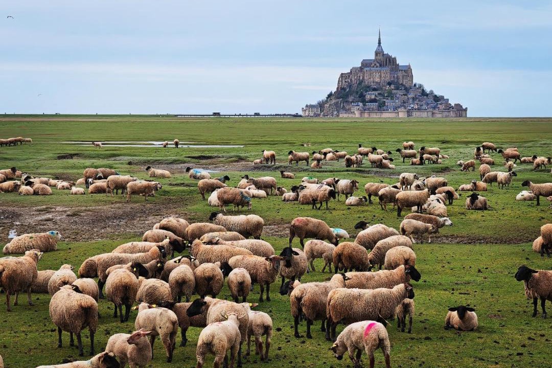 Photo of Others in Saint-Quentin-sur-le-Homme