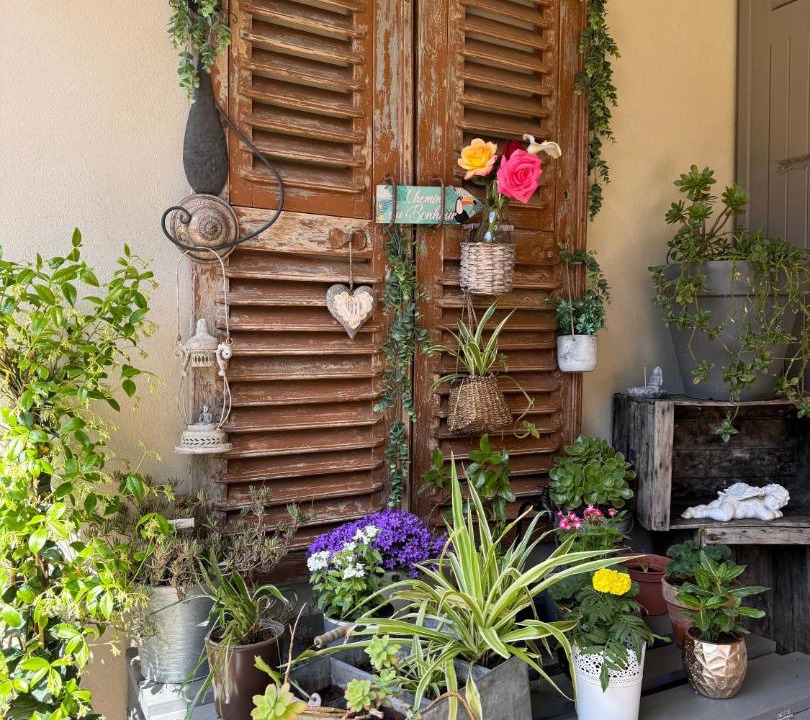 Photo of Others in Sisco