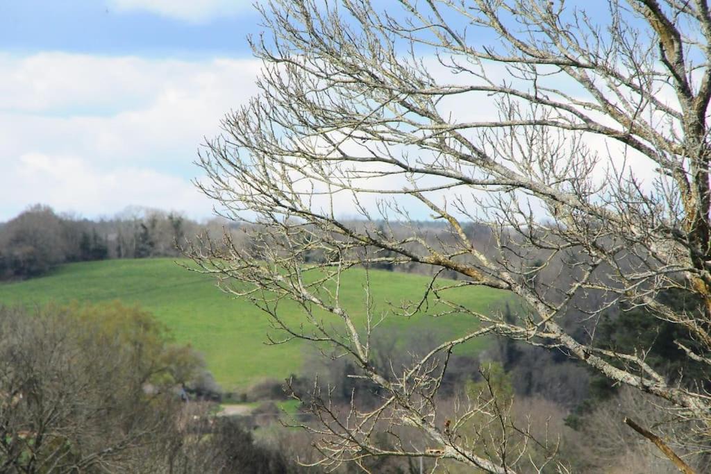 Photo of Others in Saint-Thurien