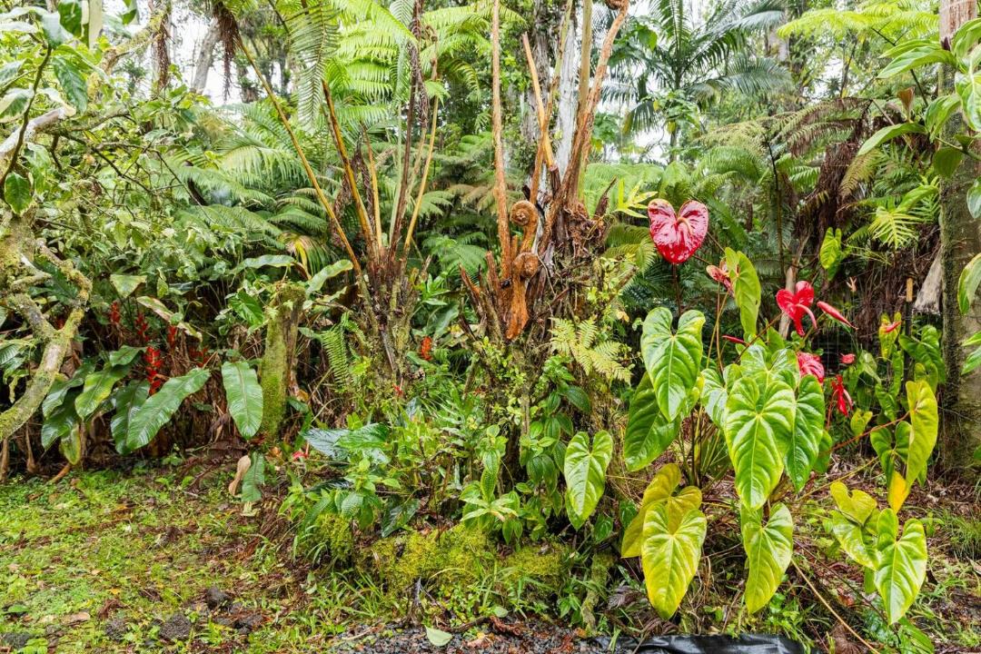 Photo of Others in Mountain View