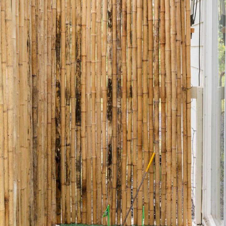 Photo of Others in Mountain View