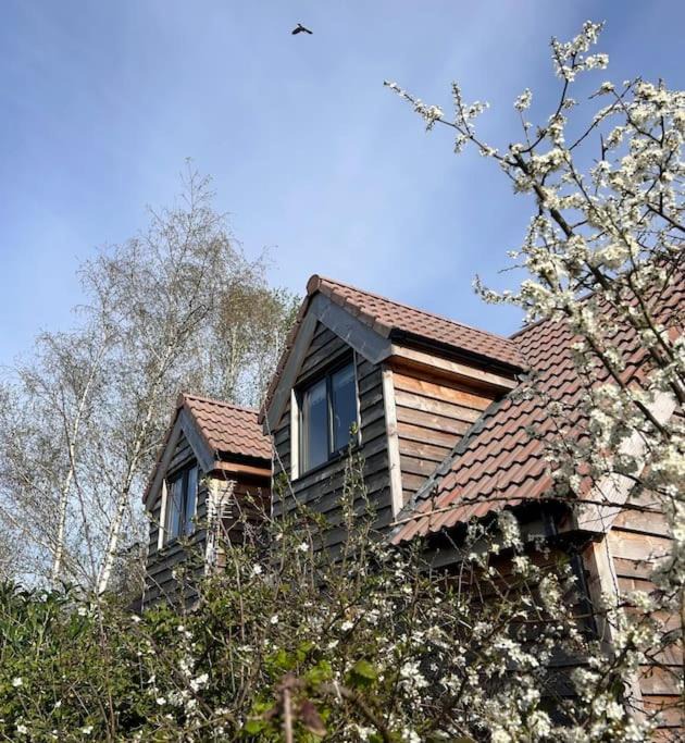 Photo of Others in Wrington