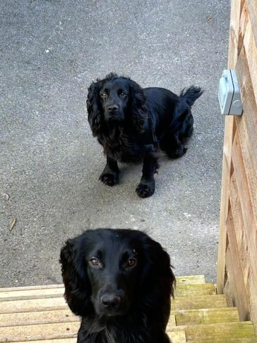 Photo of Others in Wrington