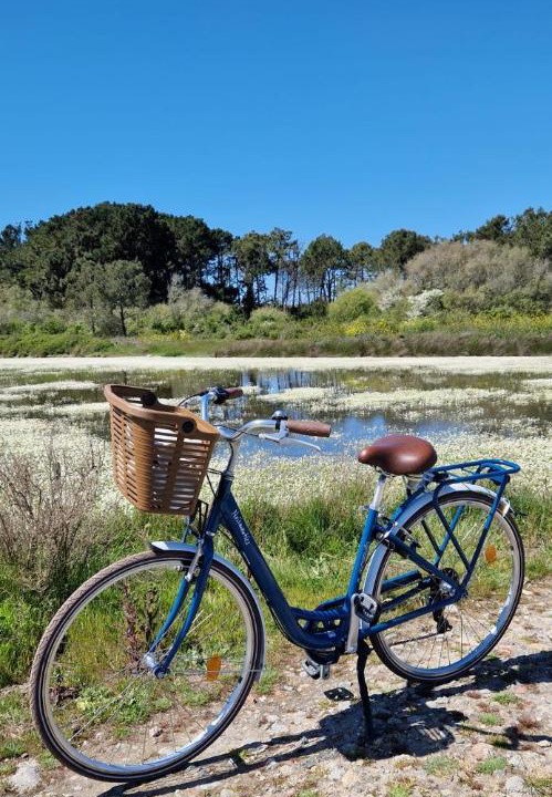 Photo of Others in Noirmoutier-en-l'Ile