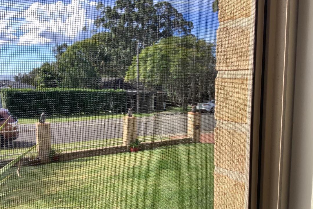 Photo of Others in Killarney Vale