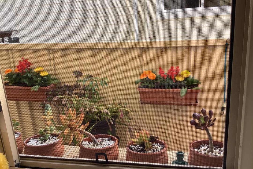 Photo of Others in Killarney Vale